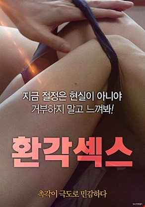 환각섹스